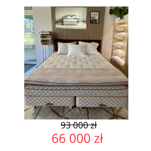 oferta zel (1).png