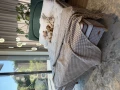 image00011.jpeg