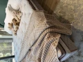 image00007.jpeg