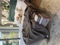 image00016.jpeg