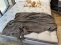 image00019.jpeg